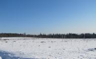 Коттеджный посёлок "Озеро Жемчужин", коттеджные посёлки в Тархово на AFY.ru - Фото 6