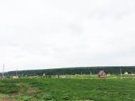 Коттеджный посёлок "Старниково", коттеджные посёлки в Старниково на AFY.ru - Фото 16