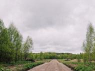 Коттеджный посёлок "Лисички", коттеджные посёлки в Покрове на AFY.ru - Фото 3