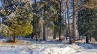 Коттеджный посёлок "Мелихово парк", коттеджные посёлки в Ступинском районе на AFY.ru - Фото 13