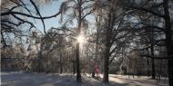 Коттеджный посёлок "Николино Парк", коттеджные посёлки в Николо-Хованском на AFY.ru - Фото 5
