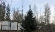 Коттеджный посёлок "Янтарный", коттеджные посёлки в Раменском районе на AFY.ru - Фото 2