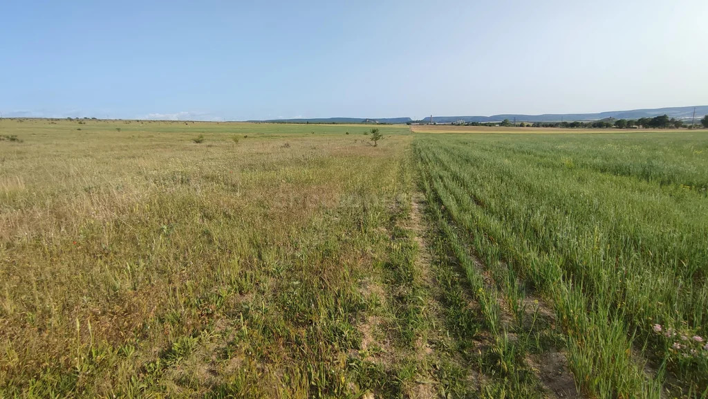 Продажа участка, Сирень, Бахчисарайский район, ул. Ялтинская - Фото 13