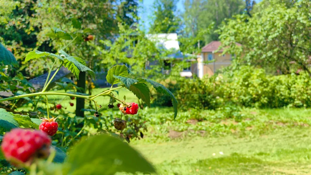 Продажа участка, Апрелевка, Наро-Фоминский район, ул. Кутузова - Фото 17