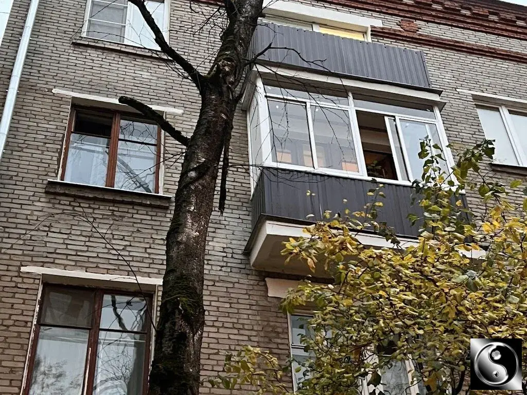 Снять комнату 77.0/19.5м Партизанская ул., 13К2, Москва, ЗАО, р-н ... - Фото 8