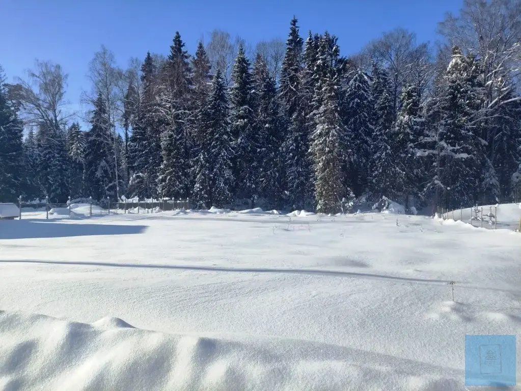 12 соток в Шапкино, СНТ Звездочка - Фото 3