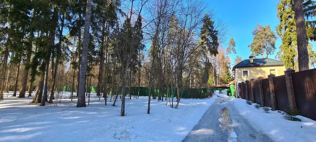 Николина Гора ДПК ранис 25 соток красивого леса - Фото 5