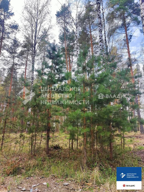 Продажа дома, Криуша, Клепиковский район, ул. Новая - Фото 11