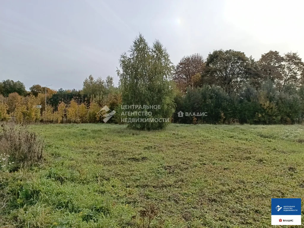 Продажа участка, Дубняки, Рязанский район - Фото 6