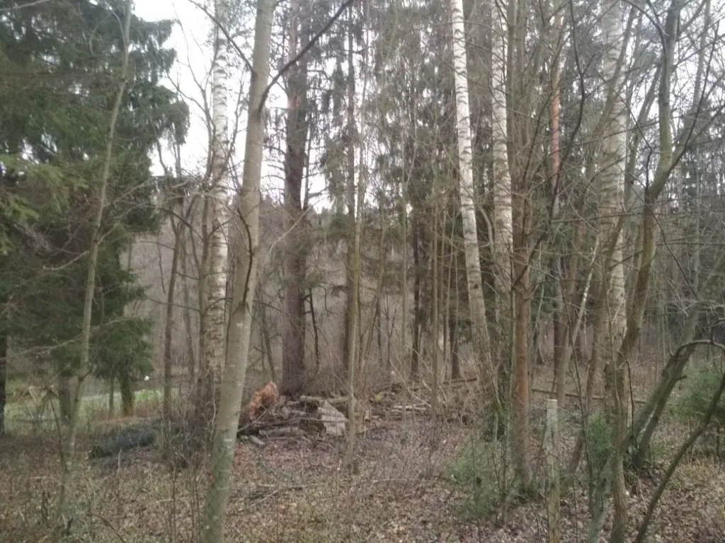 Лесной участок у воды в поселке на Новорижском ш. 10 км от МКАД - Фото 3