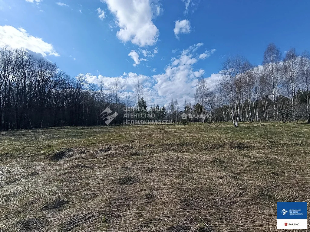 Продажа участка, Шиловский район, садоводческое товарищество Тырница - Фото 5