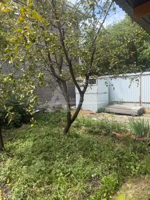 Продажа дома, Минеральные Воды, ул. Чернышевского - Фото 3