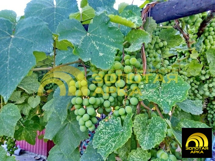 Продажа дома, Федоровская, Абинский район, ул. Первомайская - Фото 16