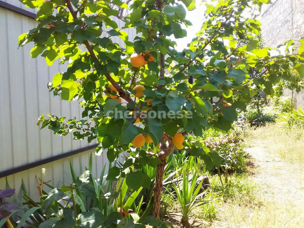 Продажа дома, Севастополь, ул. Мечникова - Фото 17