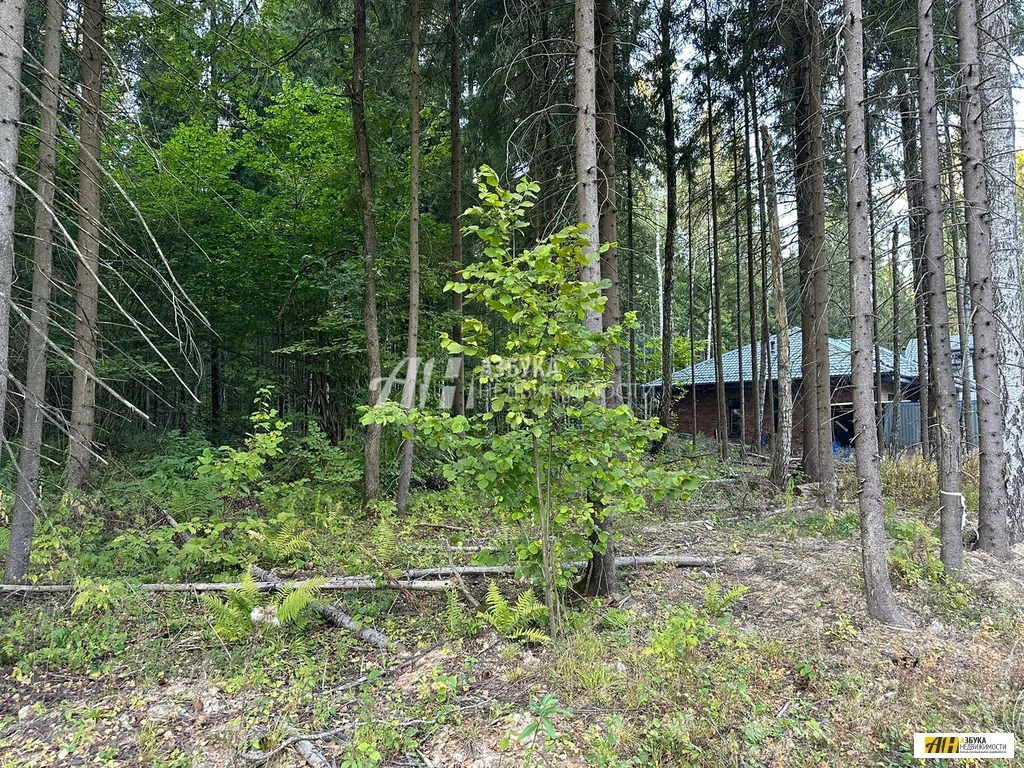 Продажа участка, Жилино, Богородский г. о. - Фото 0