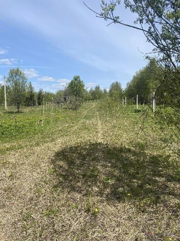 Продажа участка, Большое Пальцино, Переславский район - Фото 6