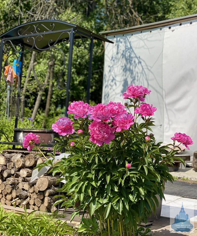 Продажа дома, Подольск, ул. Павлика Морозова - Фото 33