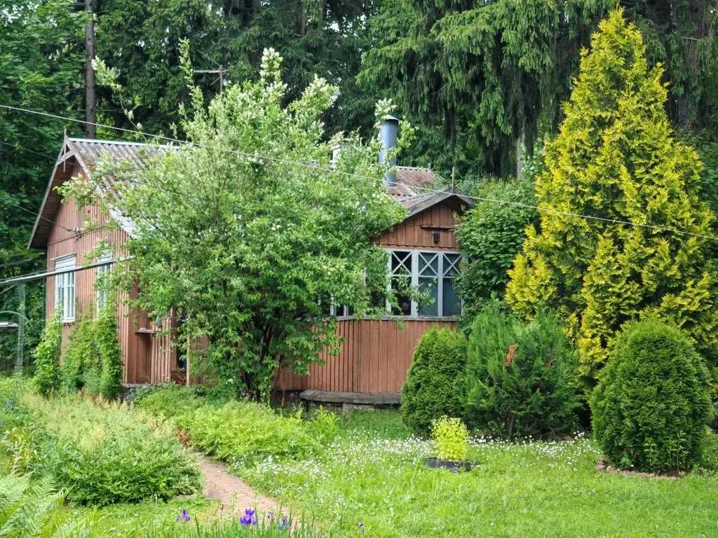Продам дом в Лобне - Фото 18