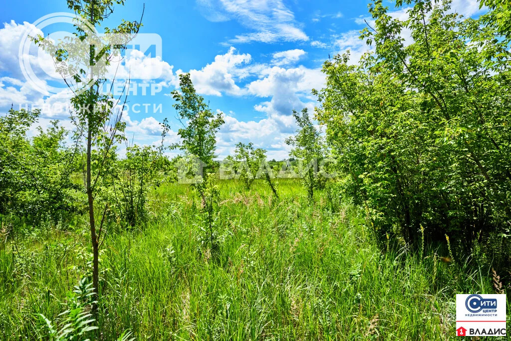 Продажа участка, Гудовка, Семилукский район - Фото 1