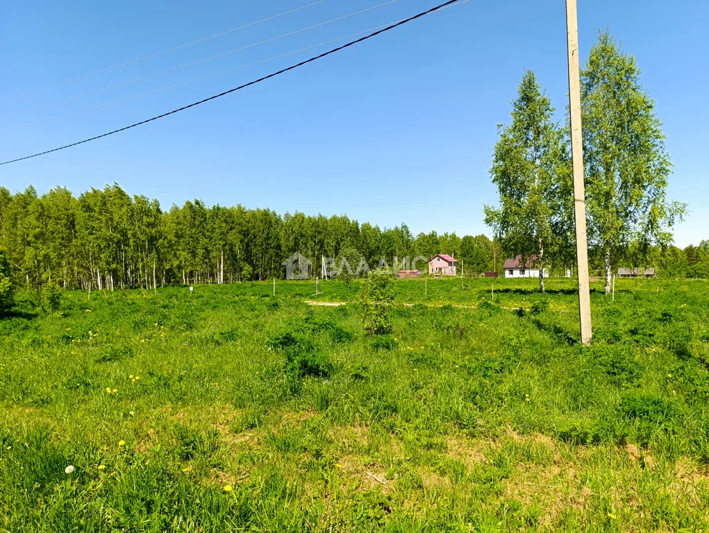 Судогодский район, деревня Брыкино,  дом на продажу - Фото 38