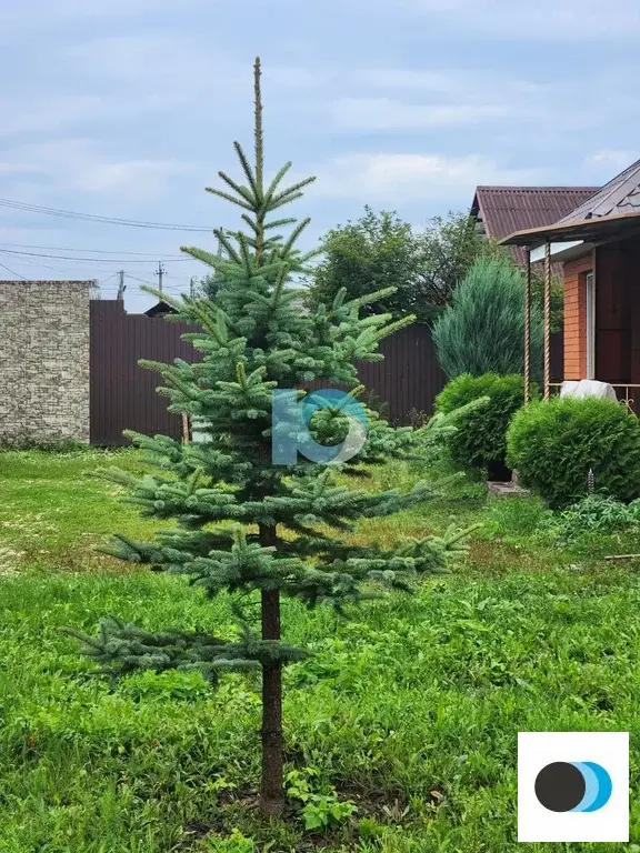 Продажа дома, Федоровка, Рассветная улица - Фото 28
