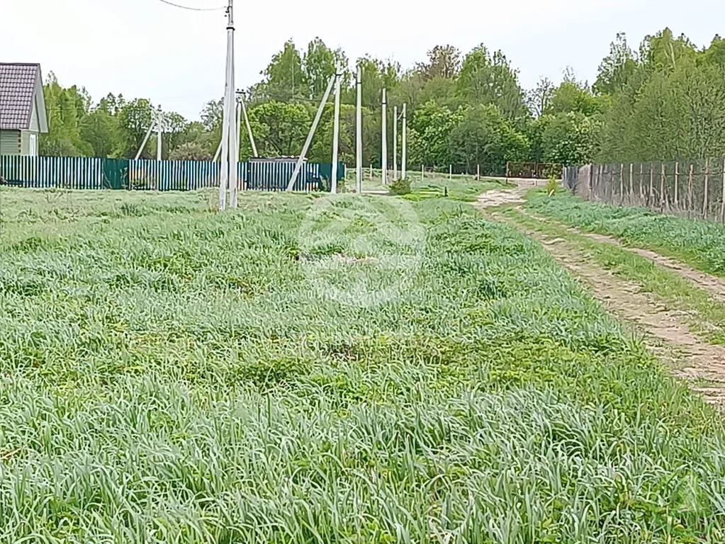 Купить Земельный Участок В Вельмогово Клинский Район