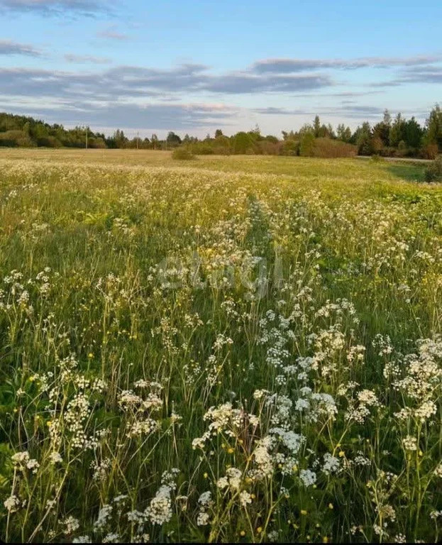 Продажа участка, Ногинск, Богородский г. о., садоводческое ... - Фото 4