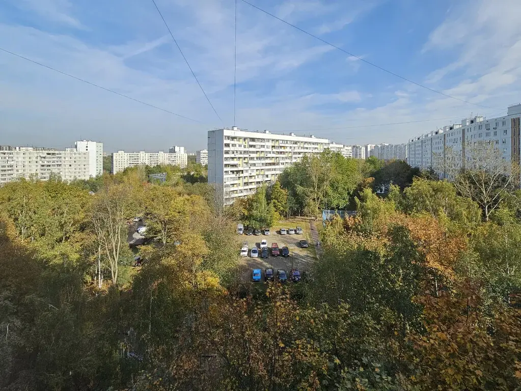 Продажа трехкомнатной квартиры 63.0м ул. Вилиса Лациса, 43к1, Москва, - Фото 6