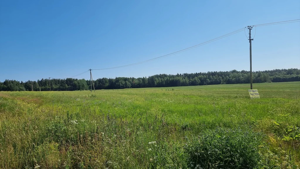 Продажа участка, Солнечное, Приозерский район - Фото 5