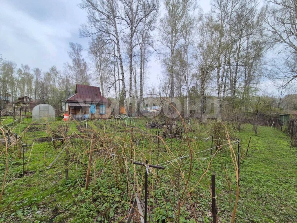 Продажа дома, Новосибирск, снт Заря - Фото 7