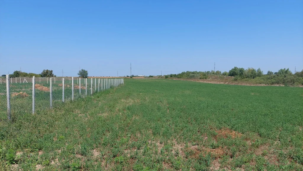 Продажа участка, Темрюкский район, улица Балтийская - Фото 3