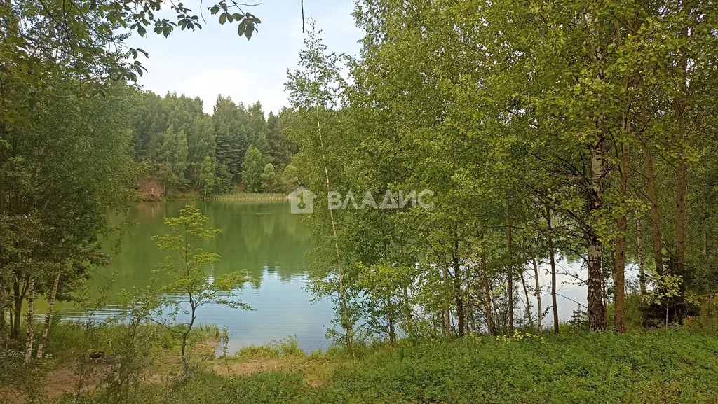 Сергиево-Посадский городской округ, садовое товарищество Орбита,  дом ... - Фото 35