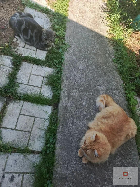 Продажа дома, Казань, тер. СНТ КГУ НПП им В.И.Ленина Лагерная - Фото 14