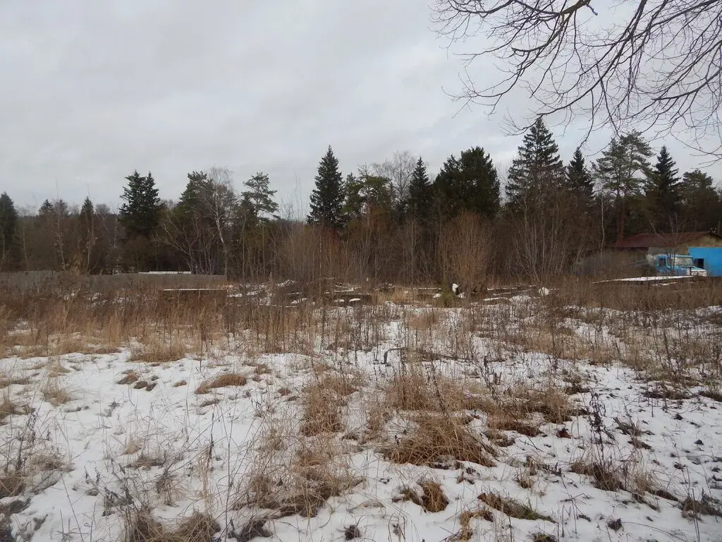 Дом с пропиской в д.Марс на участке 15 соток. - Фото 4