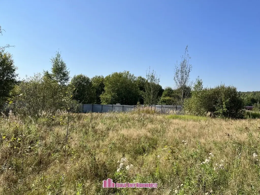 Участок 15 сот, д. Бородино, ДНП Бородино (Дмитровский район) - Фото 11