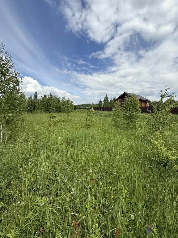 Продаю участок 12 соток под ПМЖ, д. Беспятово, Ступинский район. - Фото 5