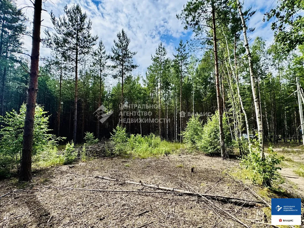 Продажа участка, Мурмино, Рязанский район - Фото 3