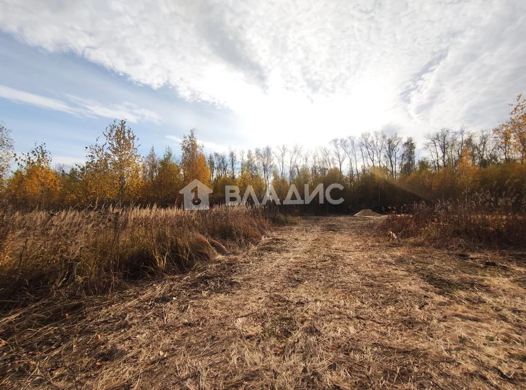 Суздальский район, село Оликово, Центральная улица,  земля на продажу - Фото 10