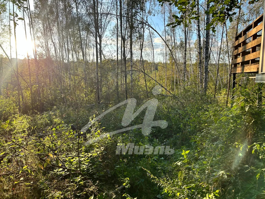 Продажа дома, Дмитров, Дмитровский район, 53 - Фото 17