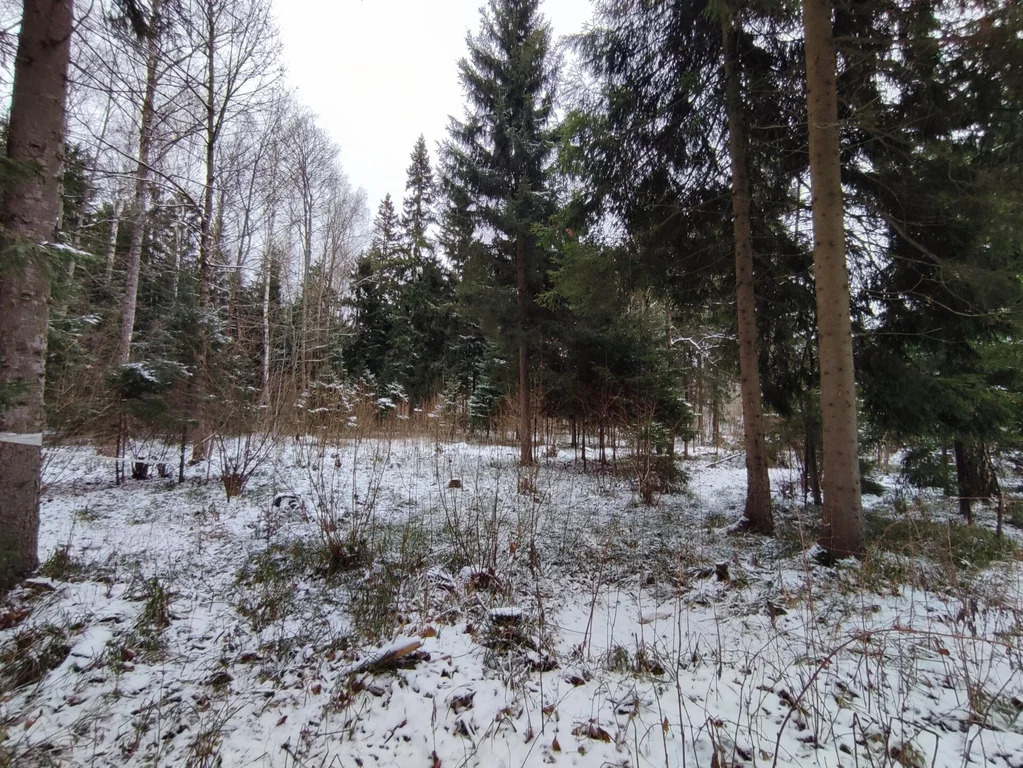 Продажа участка, НИИ Радио, Одинцовский район, Тыльная улица - Фото 8