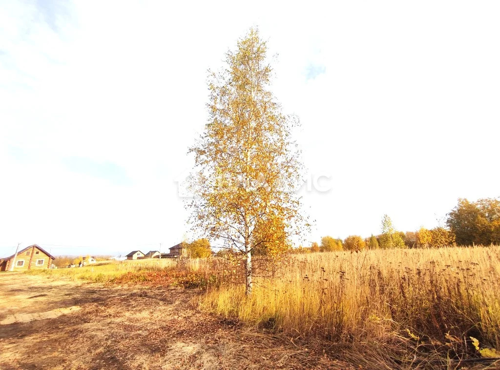 Суздальский район, село Оликово, Центральная улица,  земля на продажу - Фото 7