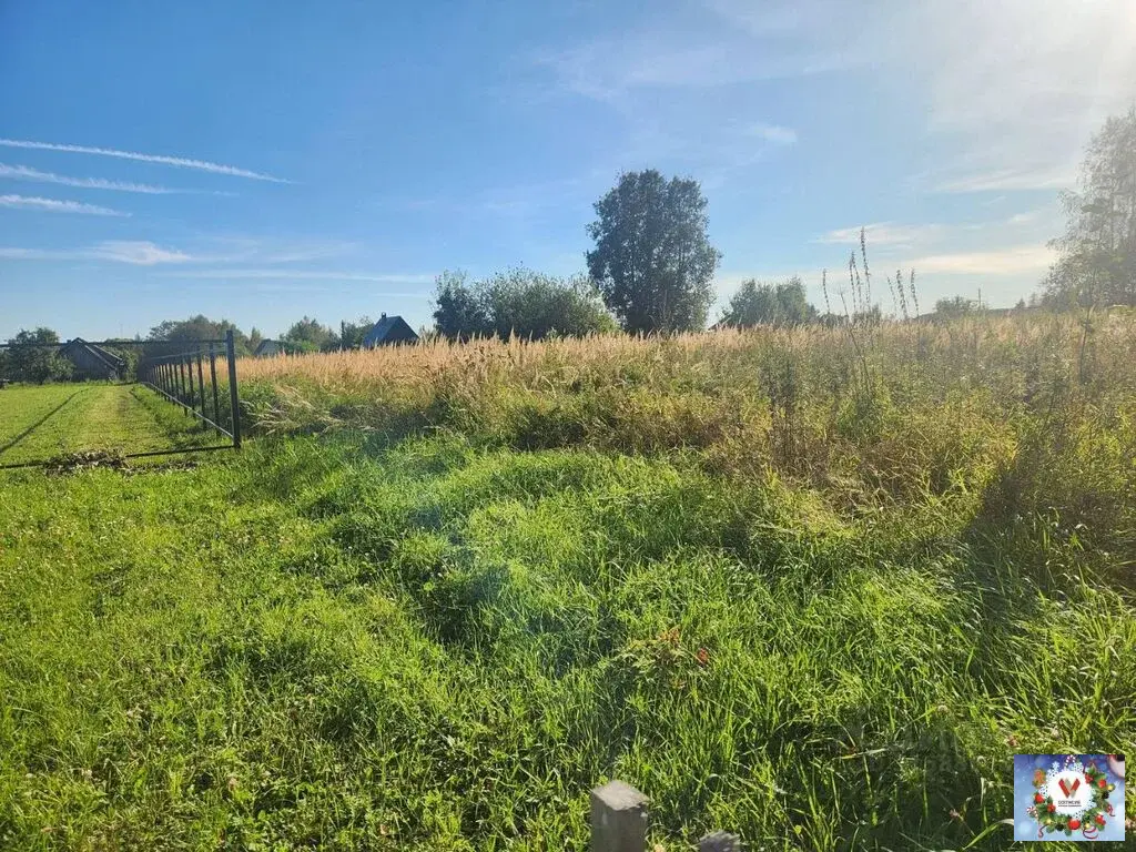 14 соток в деревне Бабурино  рядом озеро - Фото 16