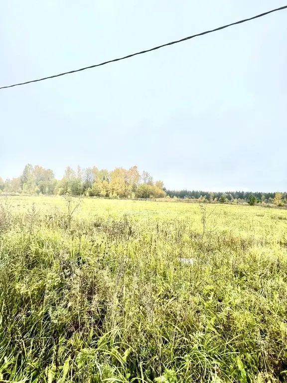 Продам участок - Фото 1