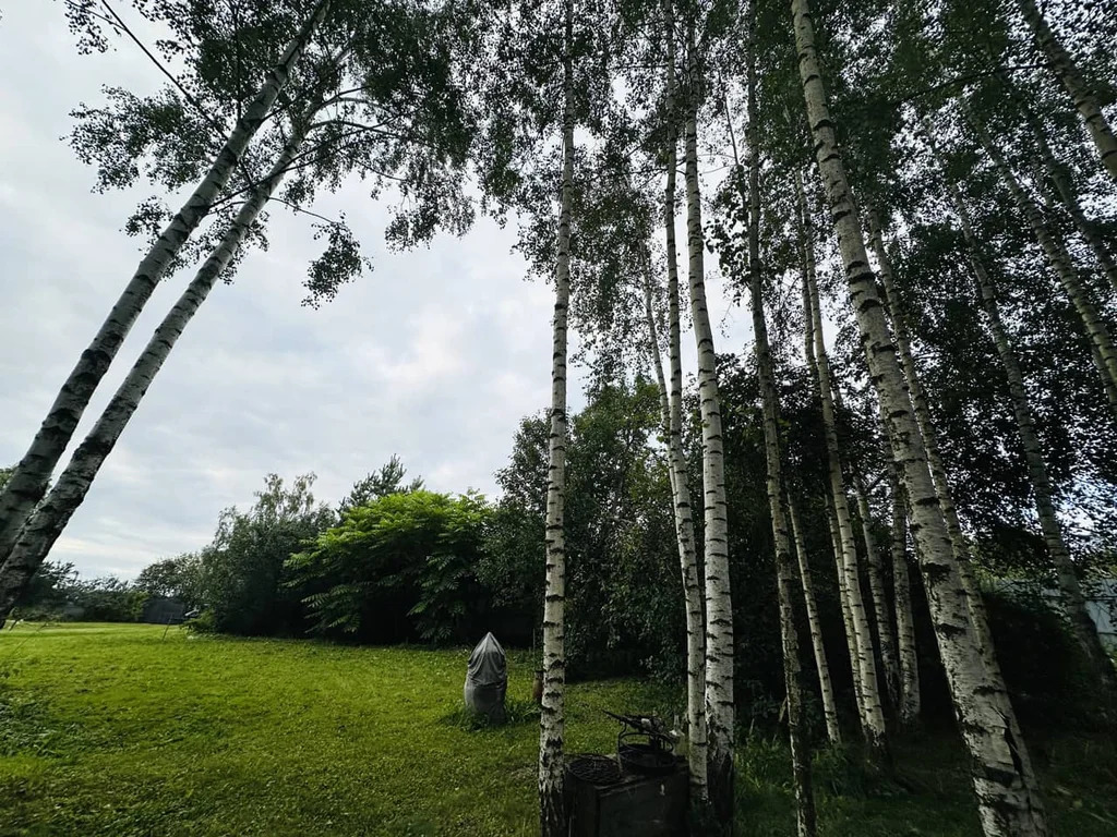 Продажа участка, Внуково, Дмитровский район - Фото 2