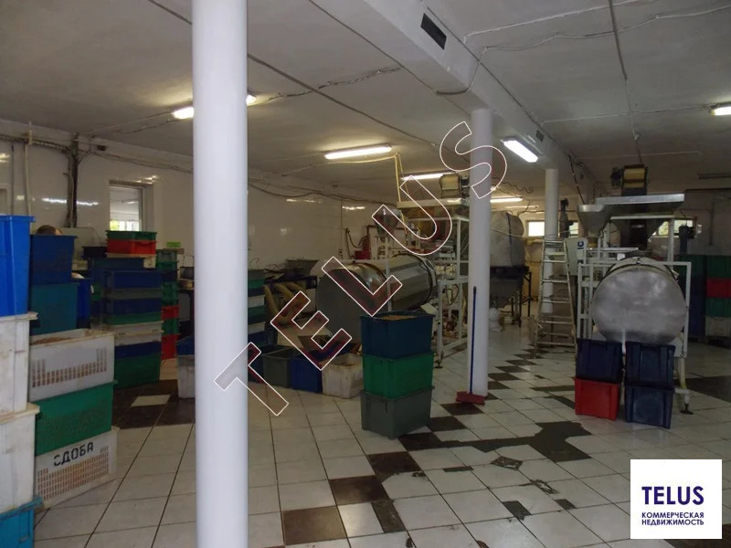 МО, Электросталь г.о., Новые Дома пос., 4000 м2, Пищевое производство ... - Фото 8