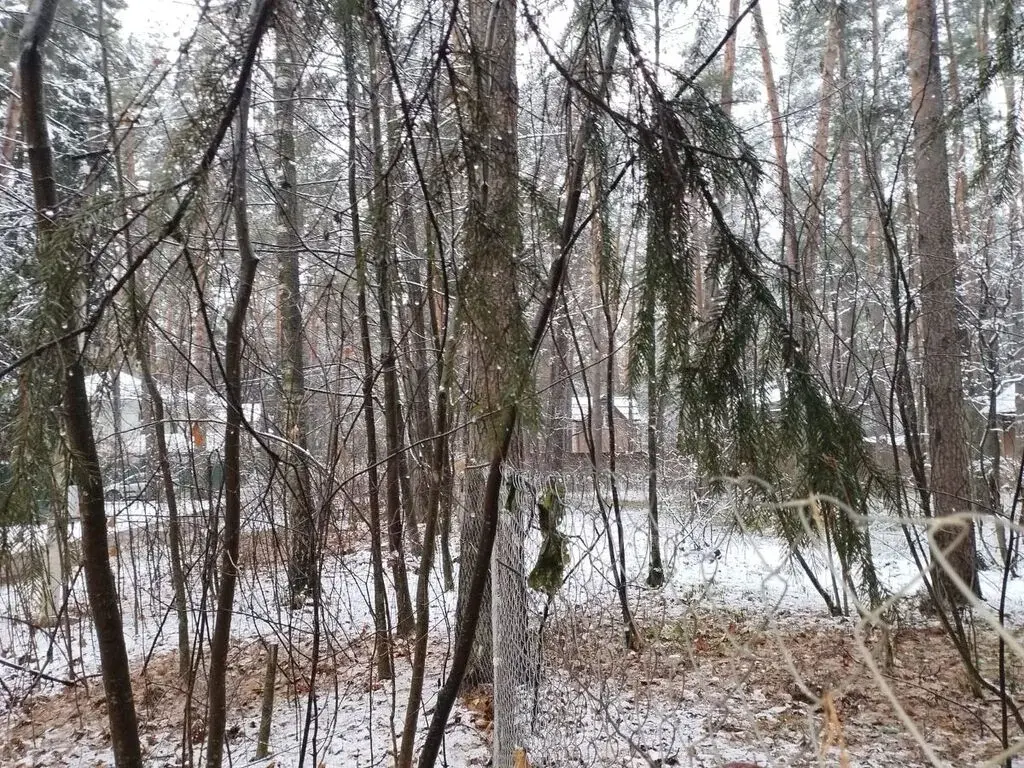 Продажа участка 17 сот. п. Кратово, ул. Кооперативная - Фото 4