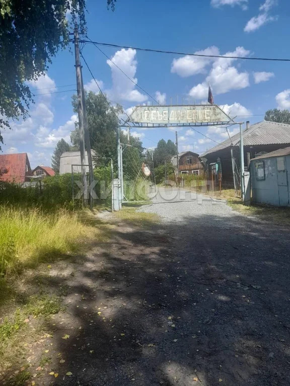 Продажа дома, Льниха, Тогучинский район - Фото 14