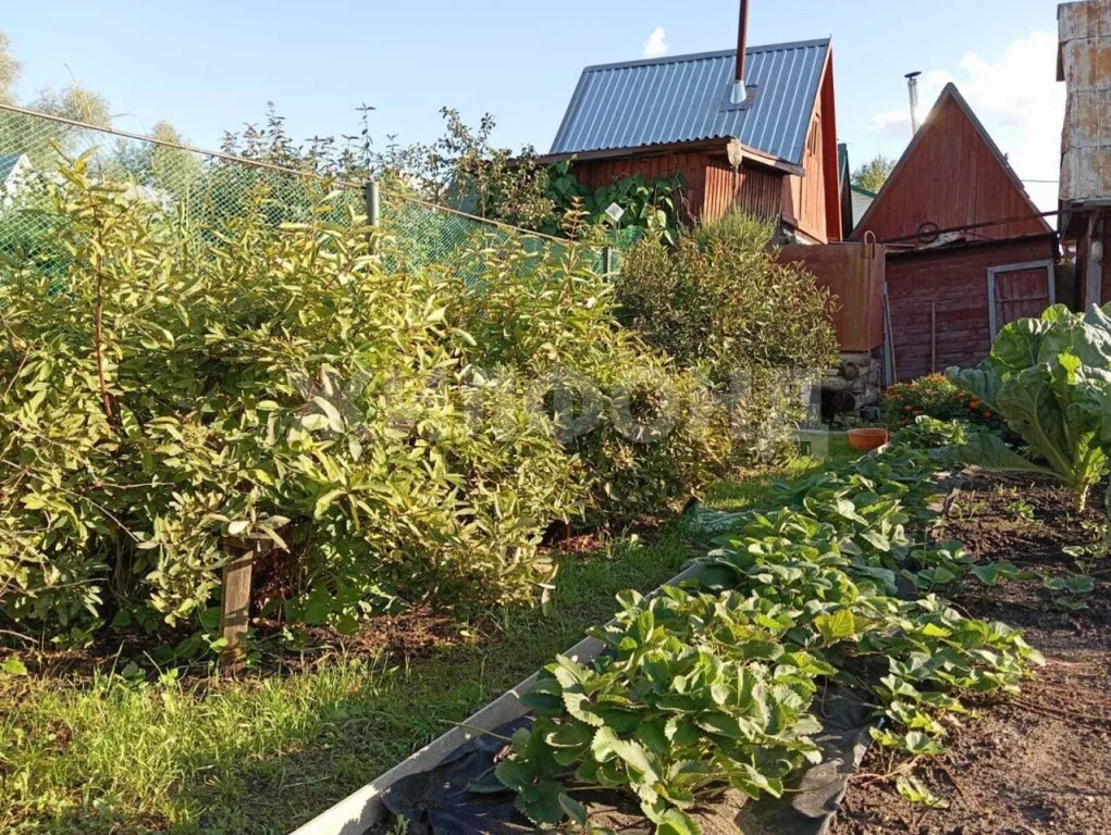 Продажа дома, Новосибирск - Фото 7