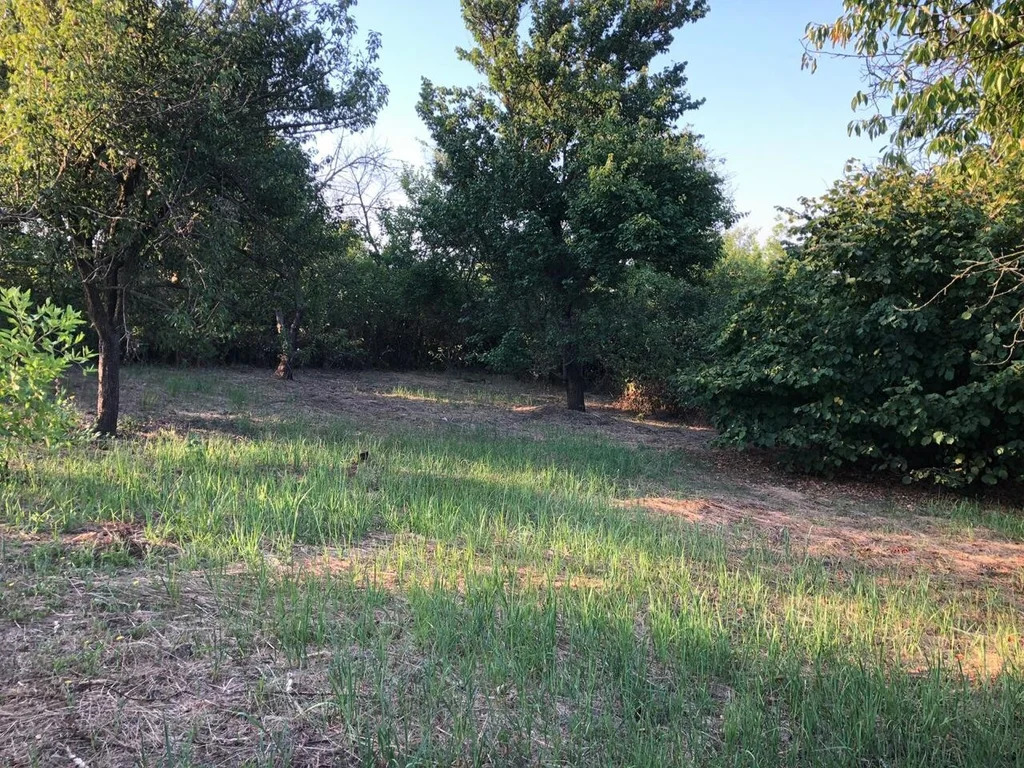 Продажа участка, Южный Склон, Темрюкский район, ул. Тимирязева - Фото 7