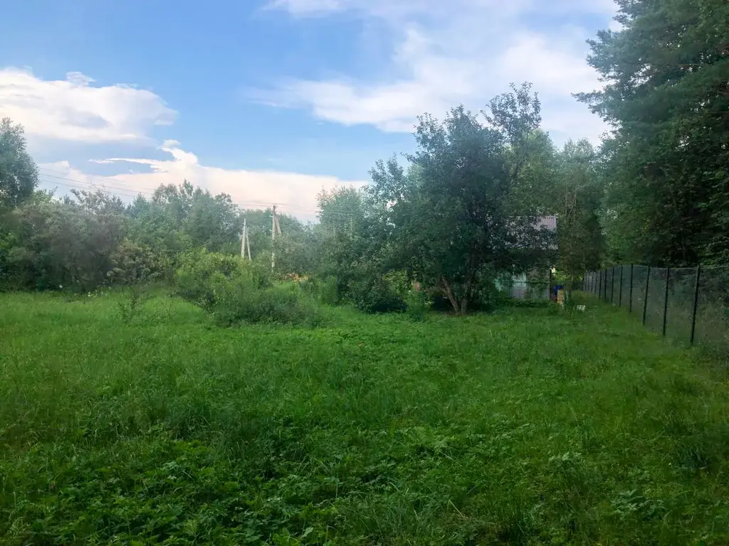 Купить дом в окружении леса можно уже сейчас! - Фото 6